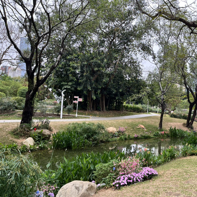 Shenzhen’s Hidden Gem: 人民公园 (People’s Park)