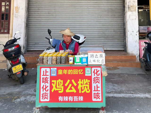 岭南騎楼的巅峰之作💕梅家大院