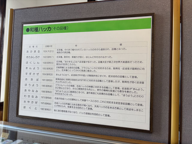 【北海道】ミント好き集まれ【北見ハッカ記念館】