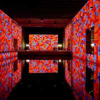 🎨✨ Weekend Escape to Bassins de Lumières: Digital Art & Bordeaux Charm