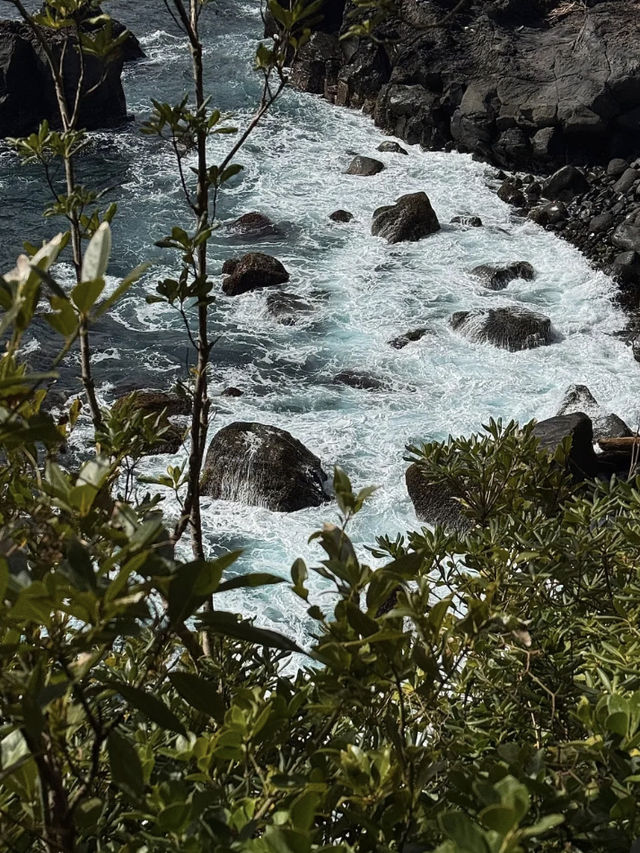 Izu 2 Days 1 Night – 48 Hours of Serendipitous Life Moments 🌊🌅