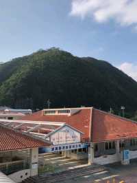 【沖縄】那覇からフェリーで行ける渡嘉敷島