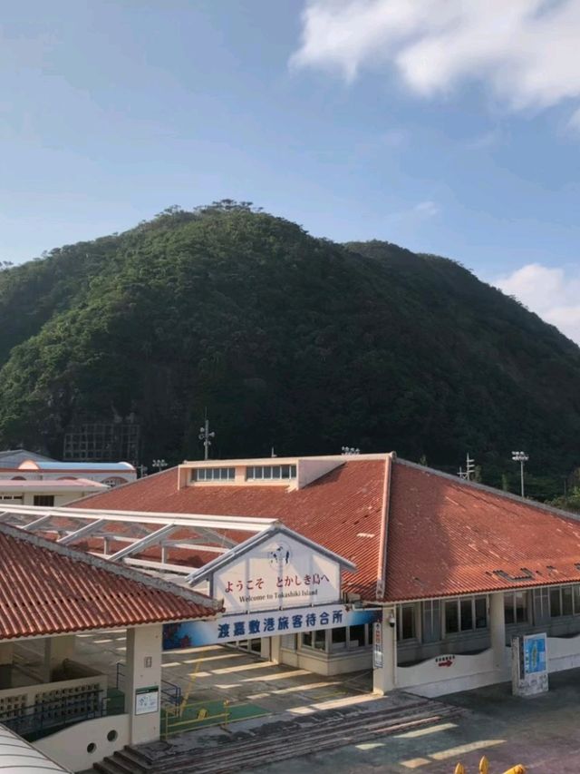 【沖縄】那覇からフェリーで行ける渡嘉敷島