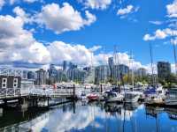 Stanley Park Stroll: Yachts, Serenity, and Unforgettable Views