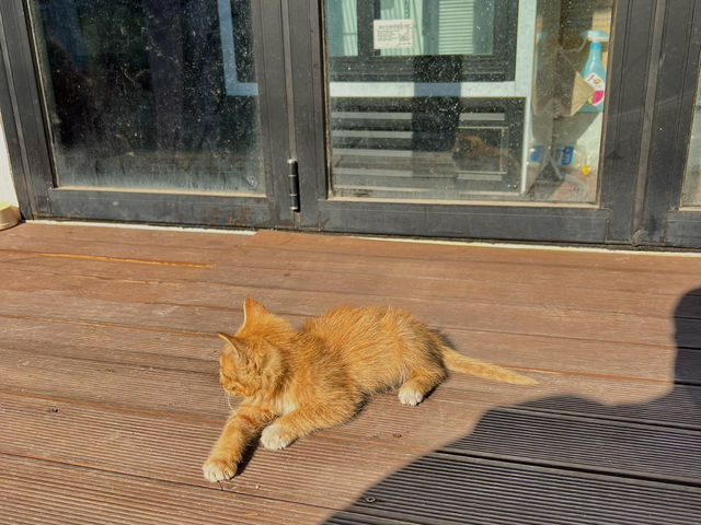 군산 1박 2일 여행💙