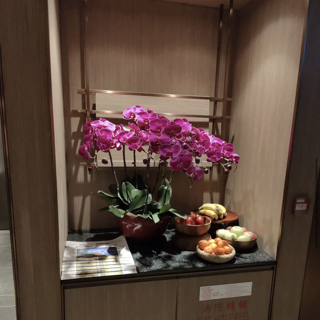 環亞機場貴賓室頭等艙 (Plaza Premium First)