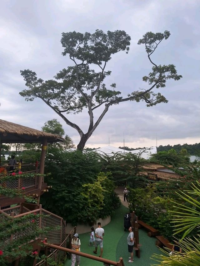 Flora in Singapore Zoo
