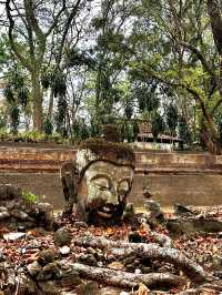 Premium hospitality hotels in chaing mai