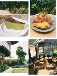 Matcha, mood, and modern design—all in 
