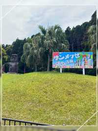 【宮崎】南国感たっぷり！宮崎1日モデルコース
