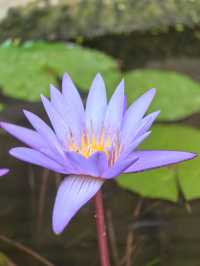 เที่ยววัดหน้าฝน: ประสบการณ์ที่แตกต่าง