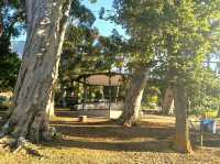 De Waal Park: Where Cape Town Comes to Play