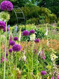Hinton Ampner: Grace, Gardens, and Glorious English Countryside