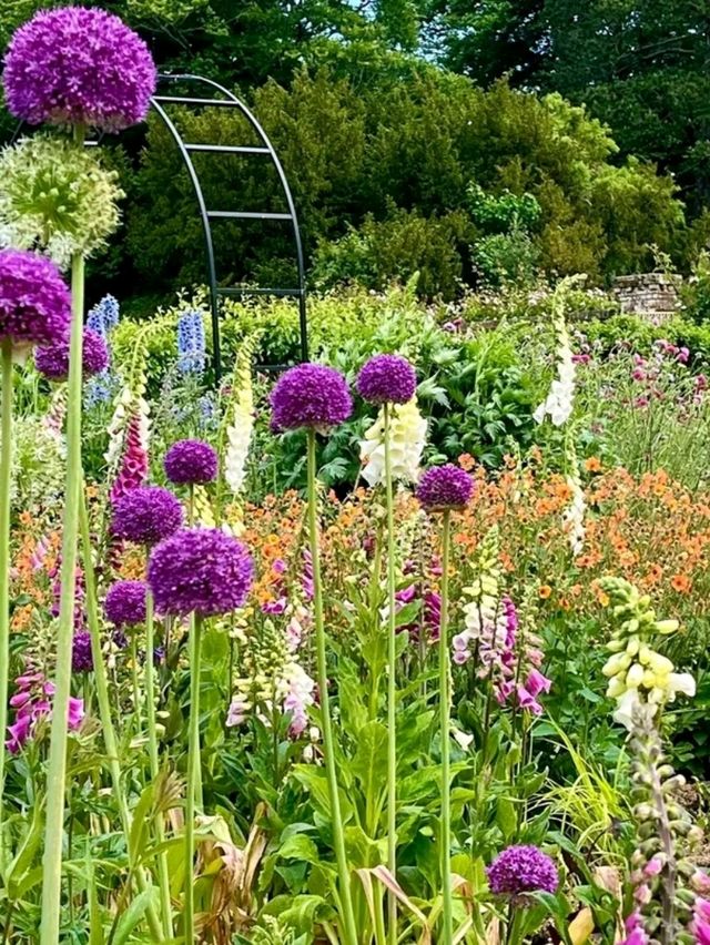 Hinton Ampner: Grace, Gardens, and Glorious English Countryside