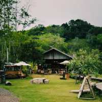 “อารีแลนด์” (Aree Land) : โครงการปลูกป่า
