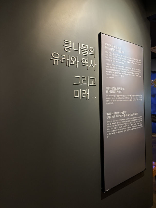 전세계 딱 한곳만 있는 콩나물 박물관 데이트😇