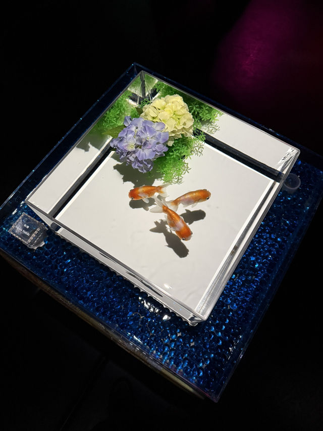 Art Aquarium Museum