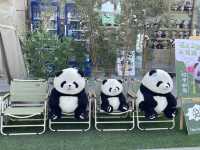 Dujiangyan Panda Valley  