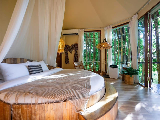 ‘Lan Na Wild’ ..สวรรค์กลางป่าใหญ่บนยอดดอย