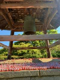 大阪｜被達摩包圍的勝尾寺 鐮倉幕府起將軍都要來求勝的千年古寺