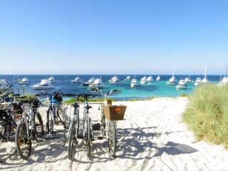 🌼名稱：羅特尼斯島
📍所在地：Rottonest island 西澳州
🛥️交通方式：從伯斯搭乘火車到弗里曼特爾，步行至港口。從那裡搭乘渡輪約30分鐘。