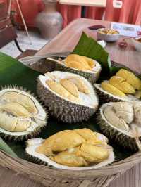 Penang | Durian Lover 2025.05.31