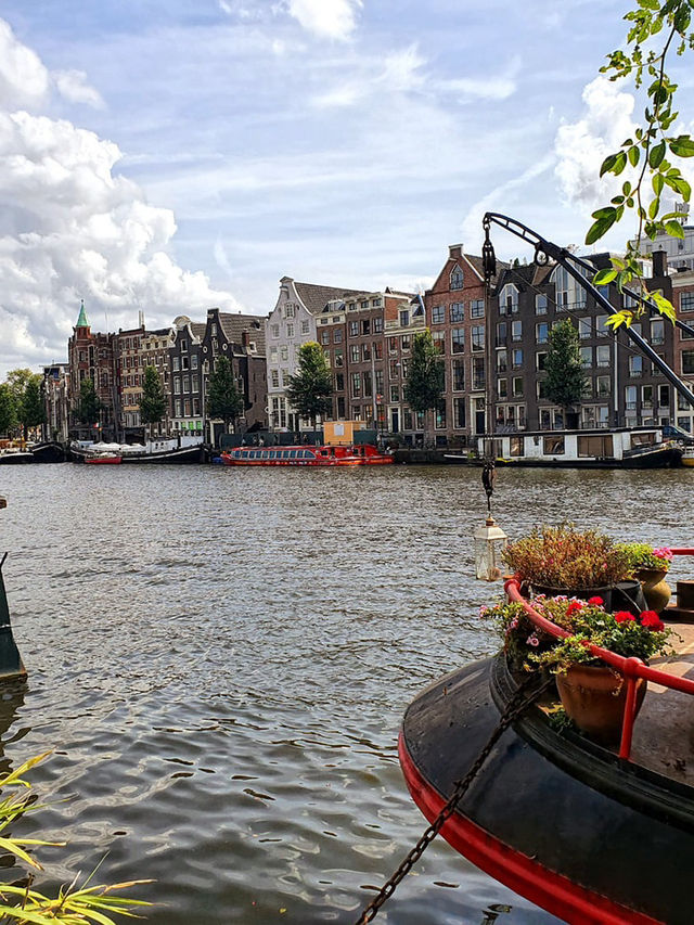 Amsterdam in Springtime: A City in Full Bloom