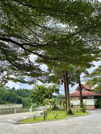 Urban Serenity Found: A Stroll to Goose Island in KL’s Green Heart