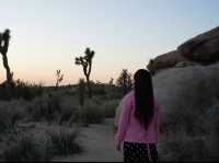 🇺🇸Joshua Tree