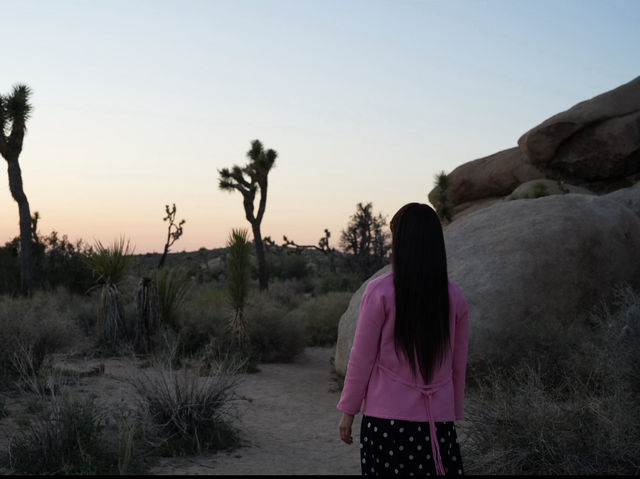 🇺🇸Joshua Tree