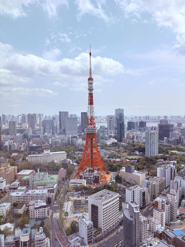 🌸 Tokyo in Full Bloom: My Unforgettable Sakura Season Adventure 🇯🇵