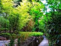 Nezu Museum – Where Art, Architecture, and Nature Meet in Harmony