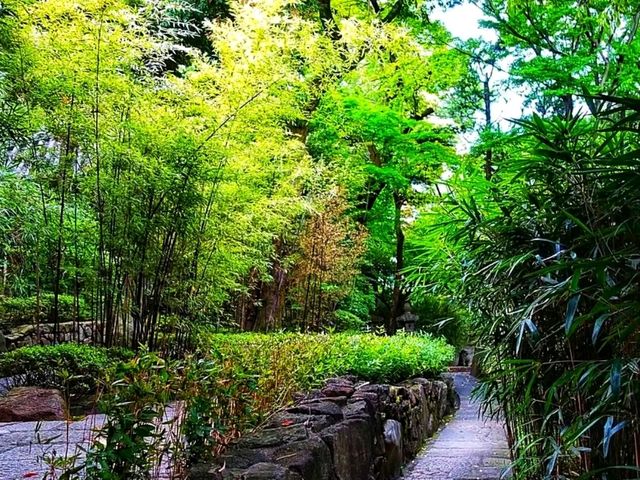 Nezu Museum – Where Art, Architecture, and Nature Meet in Harmony