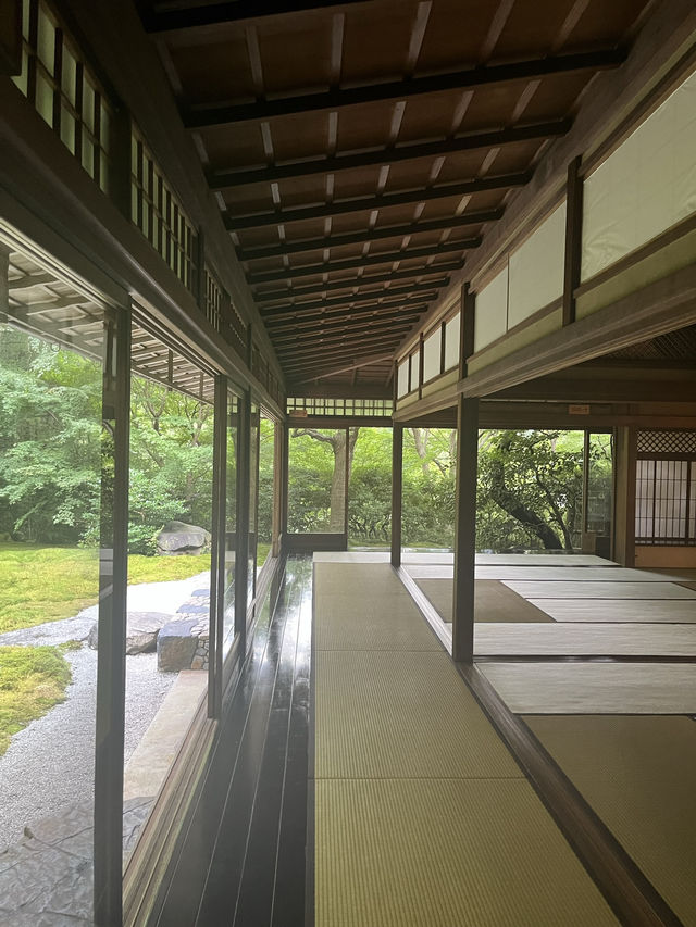 🍃🪞**【瑠璃光院（るりこういん）】 一枚の写真に、永遠の美しさを。