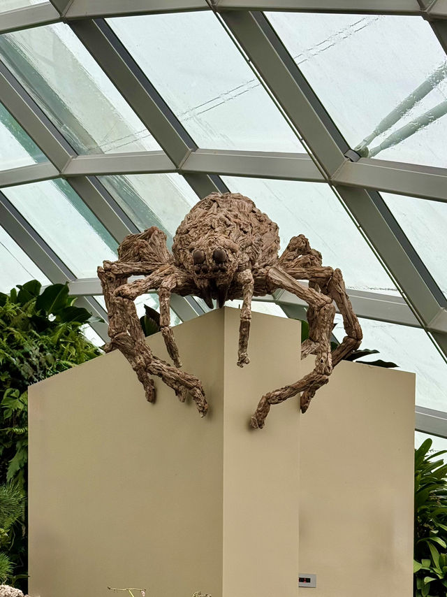 Cloud Forest — A Cool Summer Escape in Singapore’s Urban Jungle
