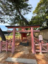 奈良｜春日大社的神鹿與浪漫 細數旗下神秘的壺神神社、拍子神社
