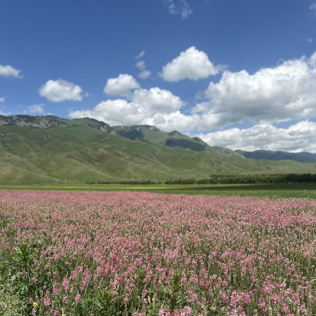 Been dreaming of Kyrgyzstan for so long — finally made it when AA opened the route to Almaty! 🇰🇬