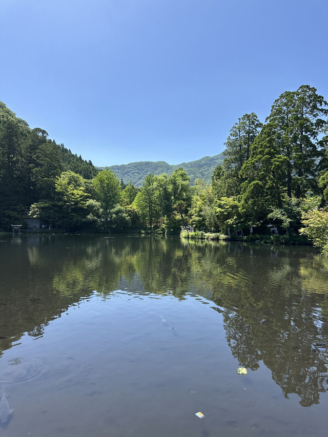 그림같이 아름답고 🧘‍♂️평온한 힐링을 즐기기에 좋은 오이타현 유후인 여행🏞️