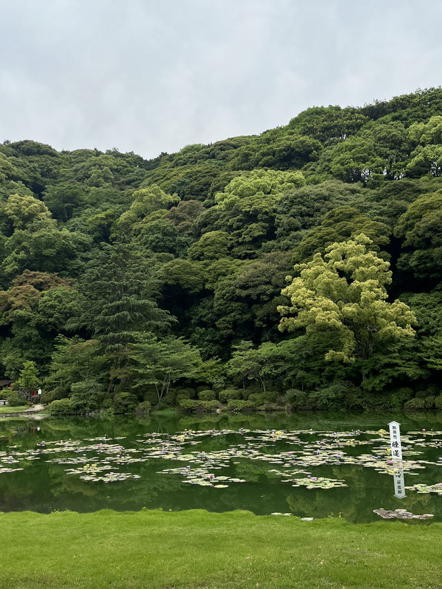 Beppu: Japan’s Onsen Paradise ♨️🧖‍♀️