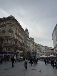 Vienna in Full Glory – A Day with Royal Halls, Sacred Silence & Golden Books