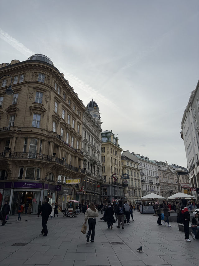 Vienna in Full Glory – A Day with Royal Halls, Sacred Silence & Golden Books