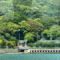 『Fukuoka』🌿 Hidden World Heritage Spot — Discover Munakata Ōshima Island 🌊
