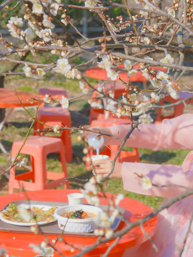 이번주는 매화 밑에서 파전에 막걸리 어때요?🌸🍶