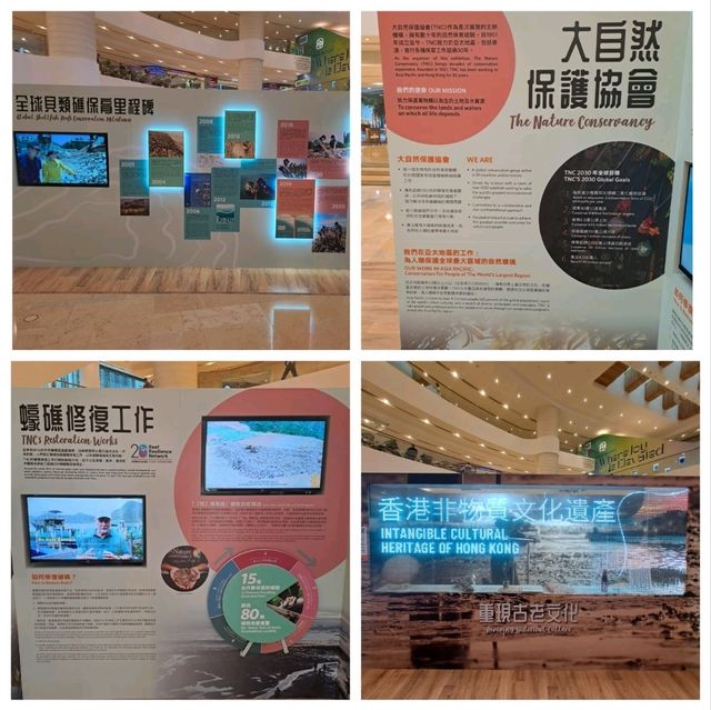 滄海遺礁展覽參觀的個人感受