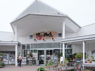 Ibusuki's Most Authentic Fish Market