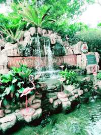 “Summer Bliss at KL Bird Park: Nature, Dining & Souvenirs Await” 