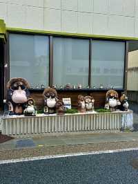 โอซาก้า🇯🇵