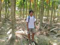 A Trip to a Betel Nut Farm