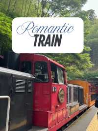 🚂 รถไฟโรแมนติกเกียวโต – นั่งรถช้าๆให้หัวใจได้พัก