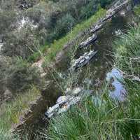 Kings Park & Botanic Garden – Perth, WA